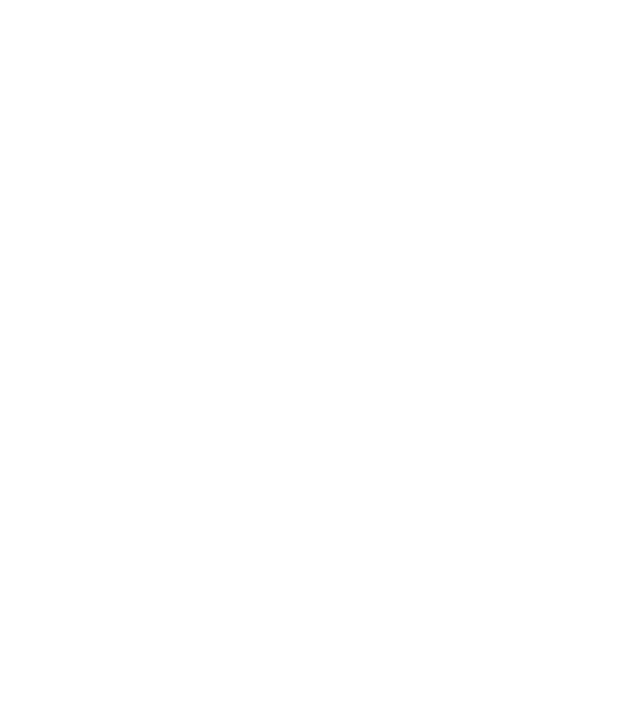 SolidProof Logo